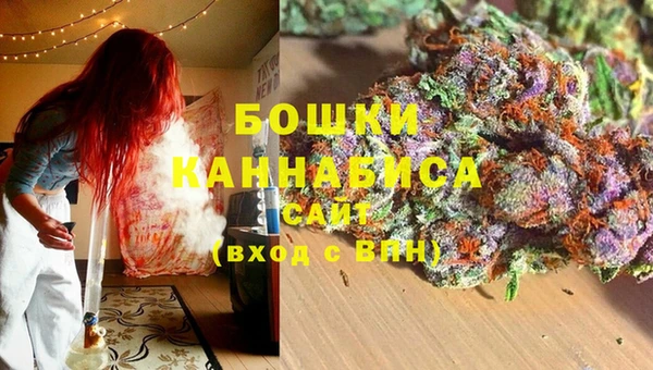 шишки Баксан