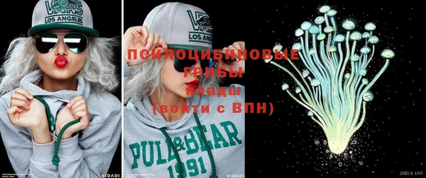 шишки Баксан
